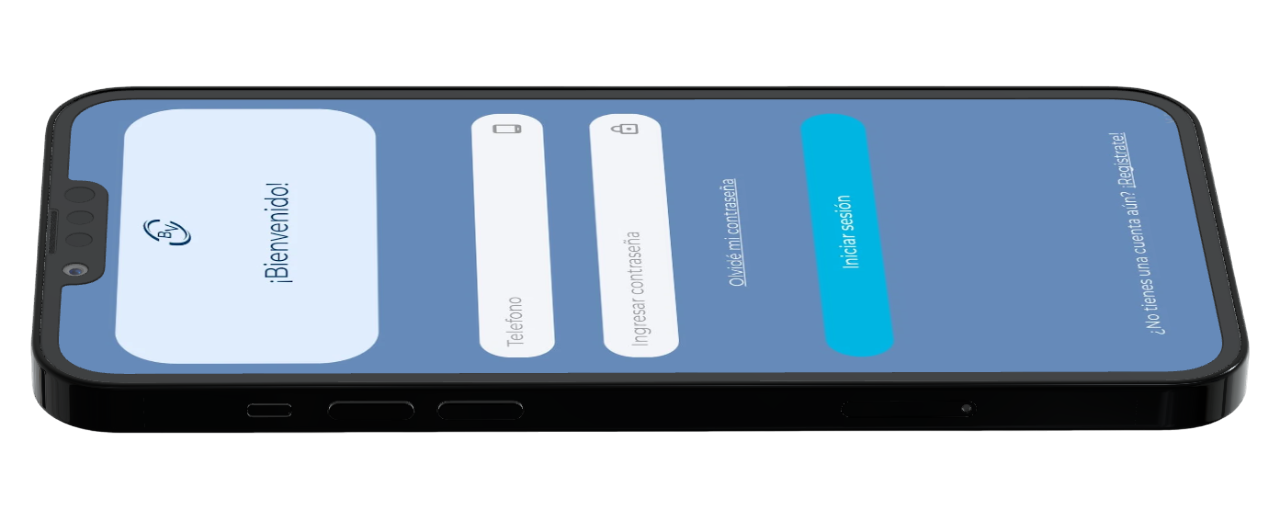 App Móvil Buró de Vales